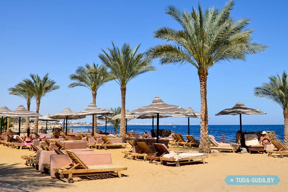 Отель Renaissance Sharm El Sheikh Golden View Beach Resort 5*. Туры,  отзывы, режим работы, фото