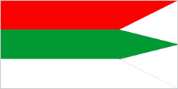 flag-radoshkovichi
