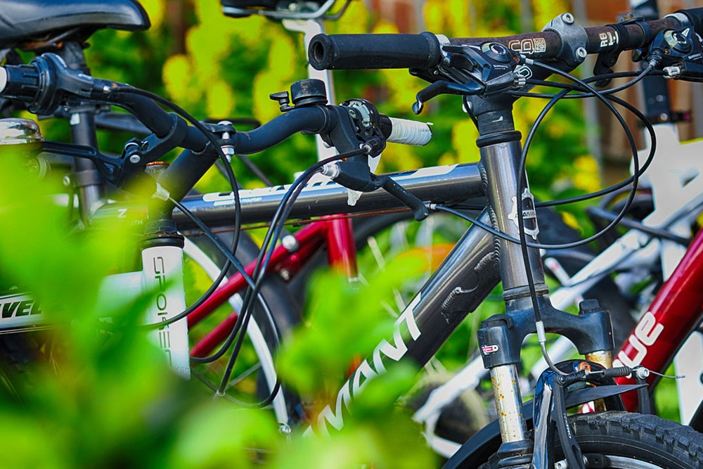 На польско-белорусской границе велосипедистов стали отправлять на углублённый досмотр На велосипеде через границу