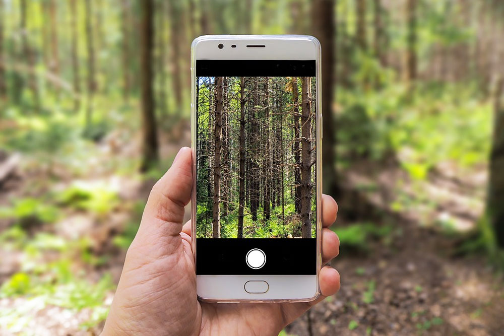 Мобильное приложение для туристов появится в Брестской области mobilnoe-prilozhenie-dlya-turistov-poyavitsya-v-brestskoy-oblasti