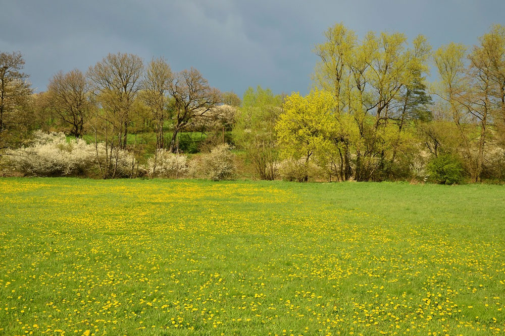 Погода в Беларуси