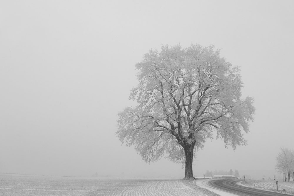 Какой будет погода начала февраля в Беларуси Погода в Беларуси