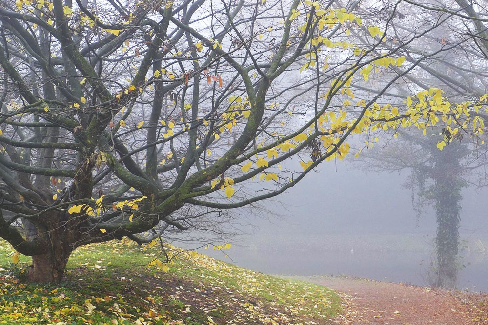 Погода в Беларуси