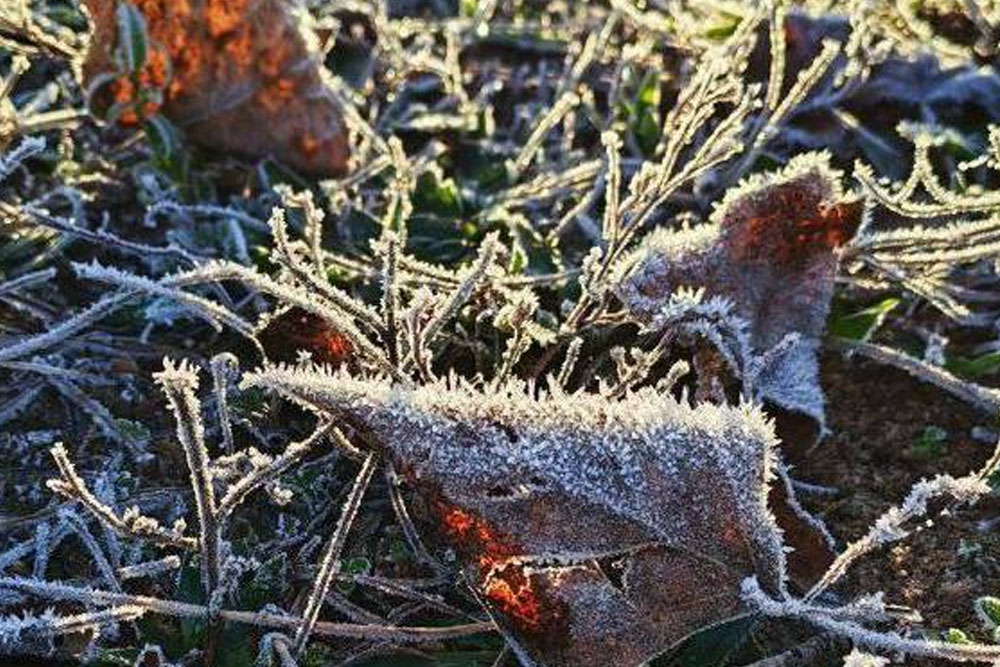 Погода в Беларуси