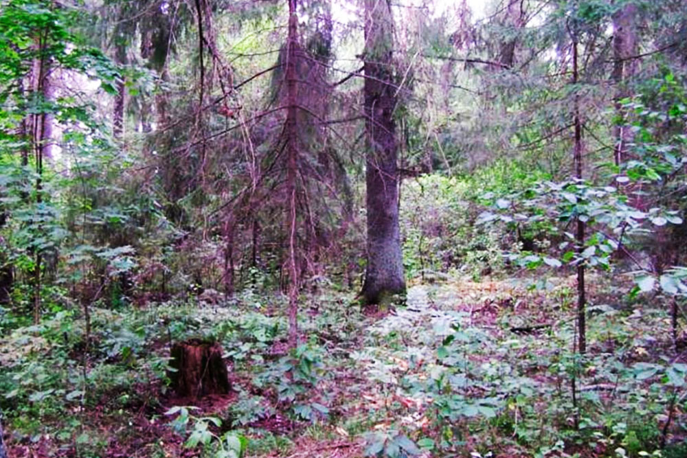 Памятник природы