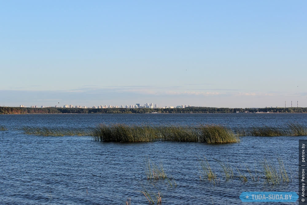Минское море позеленело Заславское водохранилище