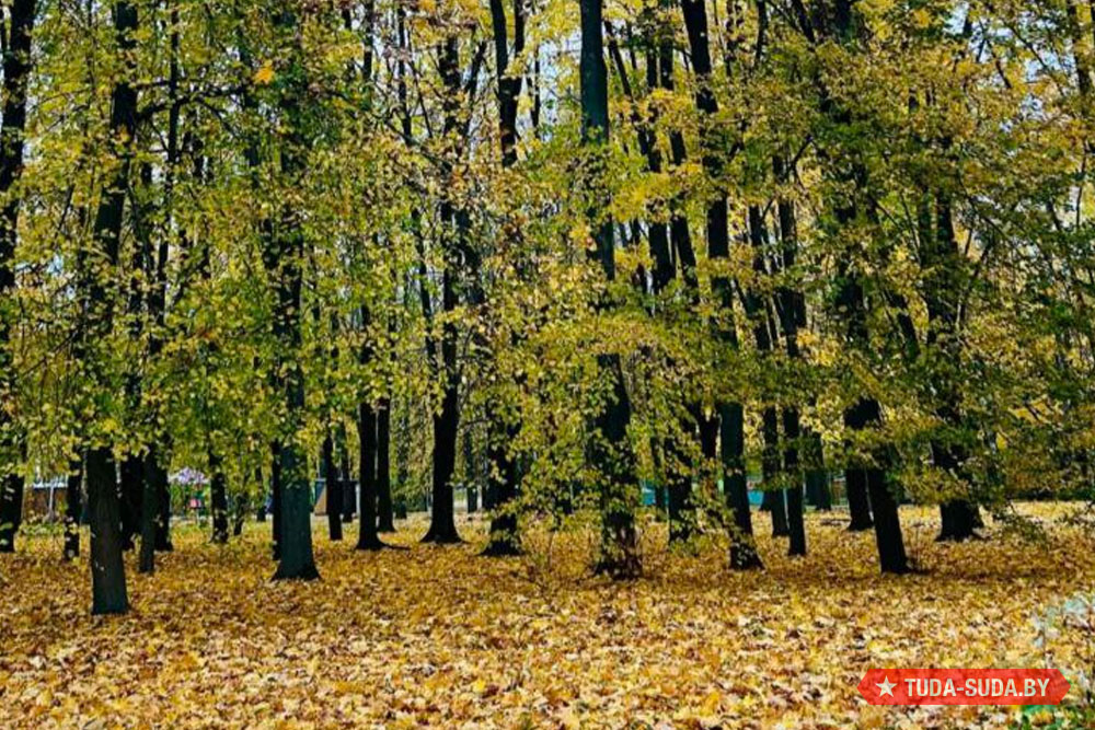 Насколько осенним будет конец октября Погода в Беларуси