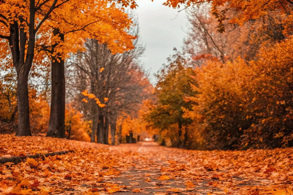 Погода на неделю и оранжевый уровень на понедельник Погода в Беларуси