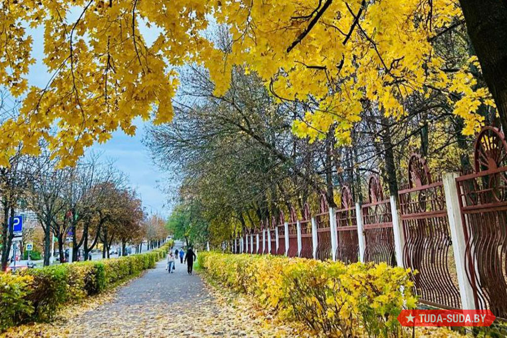 Погода в Беларуси на неделю Погода в Беларуси