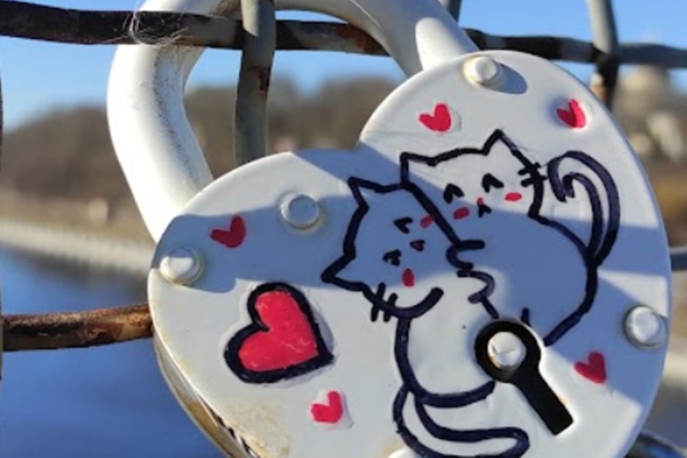 В Гомеле с перил моста через реку Сож срезали «замки любви» Мост через Сож в Гомеле