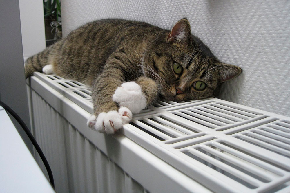 Отопительный сезон