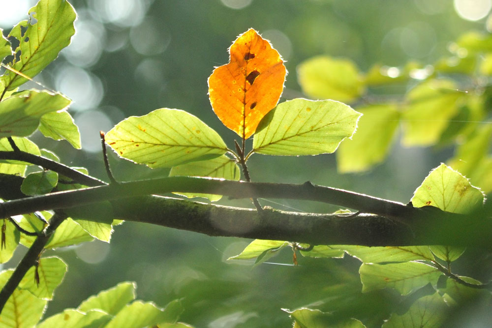 Погода в Беларуси