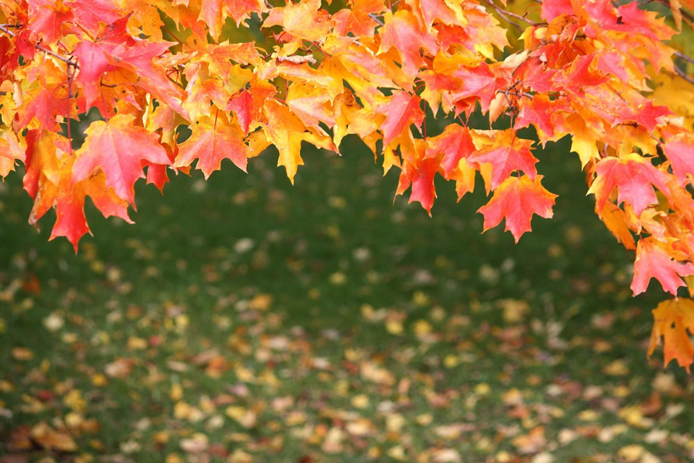 Погода в Беларуси