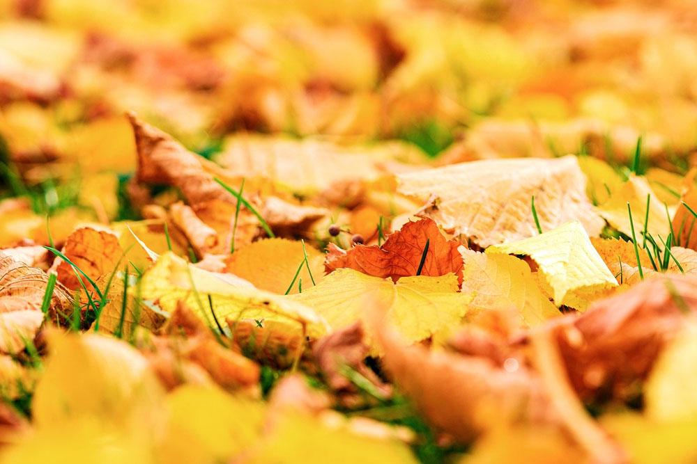 Погода в Беларуси