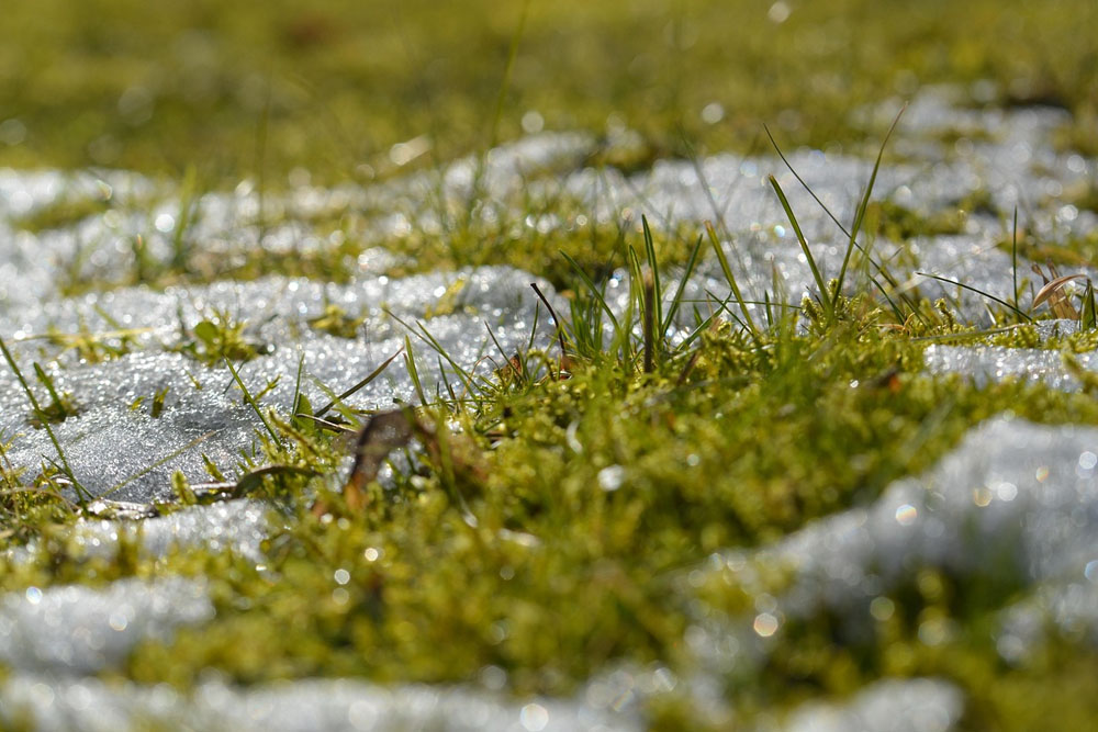 Погода в Беларуси