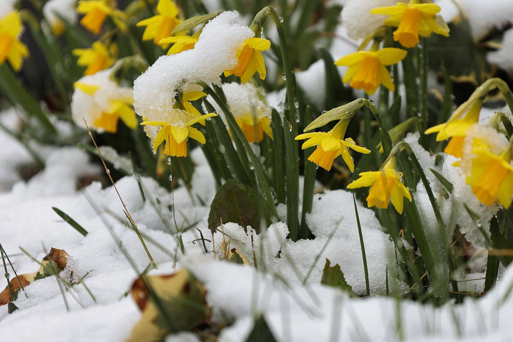 Погода в Беларуси