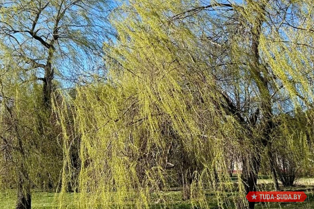 Погода в Беларуси