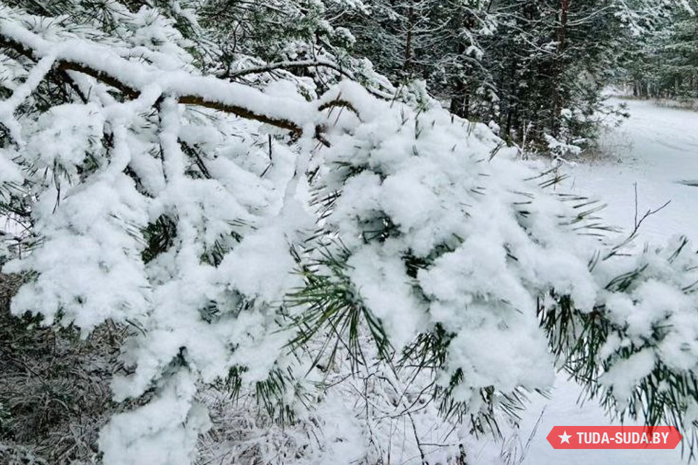 Погода в Беларуси