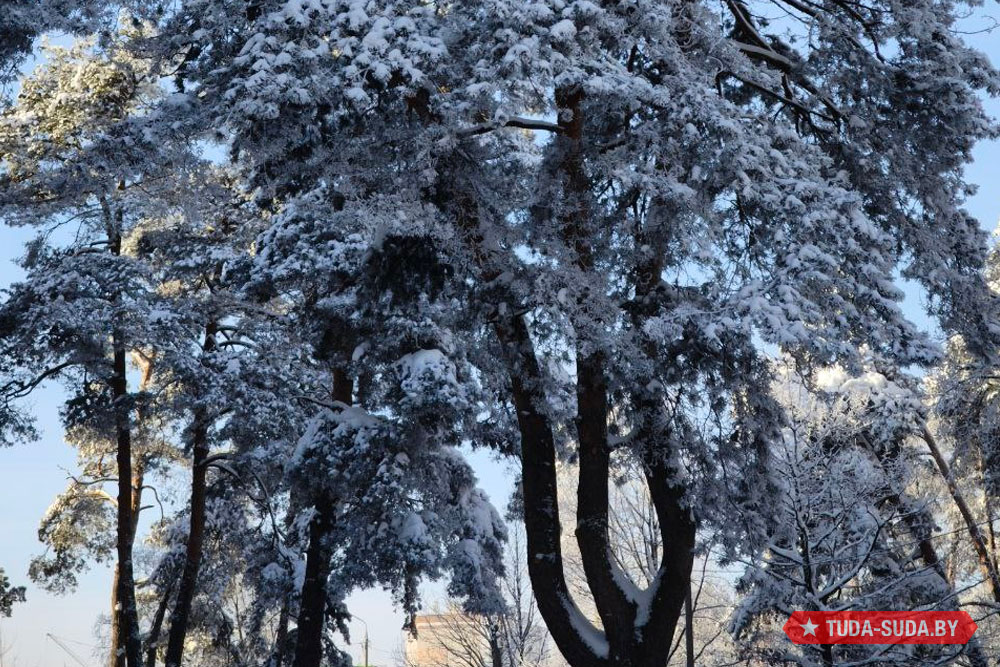 Погода в Беларуси