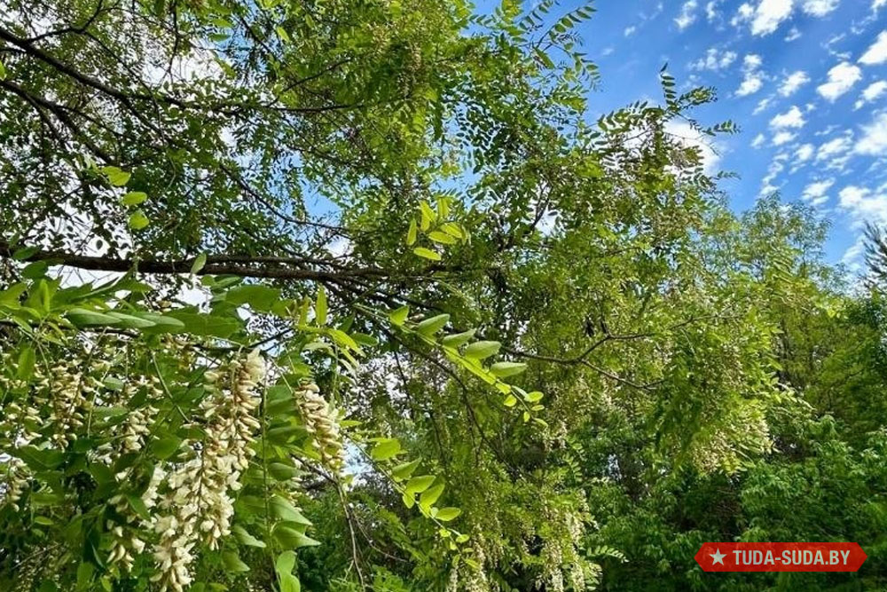 Погода играет: тепло-холодно Погода в Беларуси