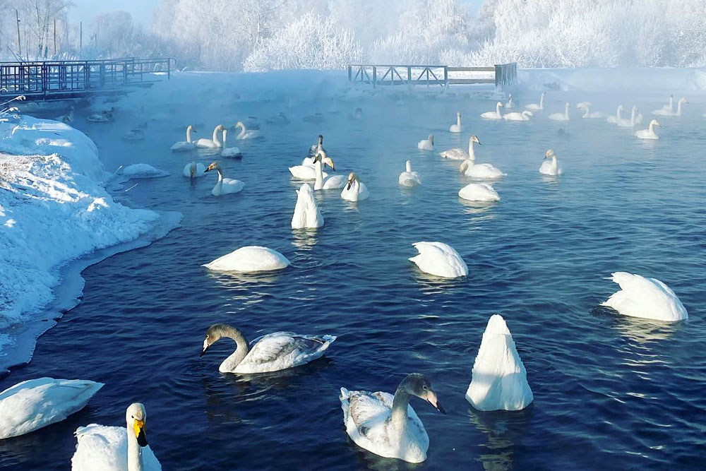 Туристы решили обойти очередь к знаменитому озеру и провалились под лёд turisty-reshili-oboyti-ochered-k-znamenitomu-ozeru-i-provalilis-pod-lyod