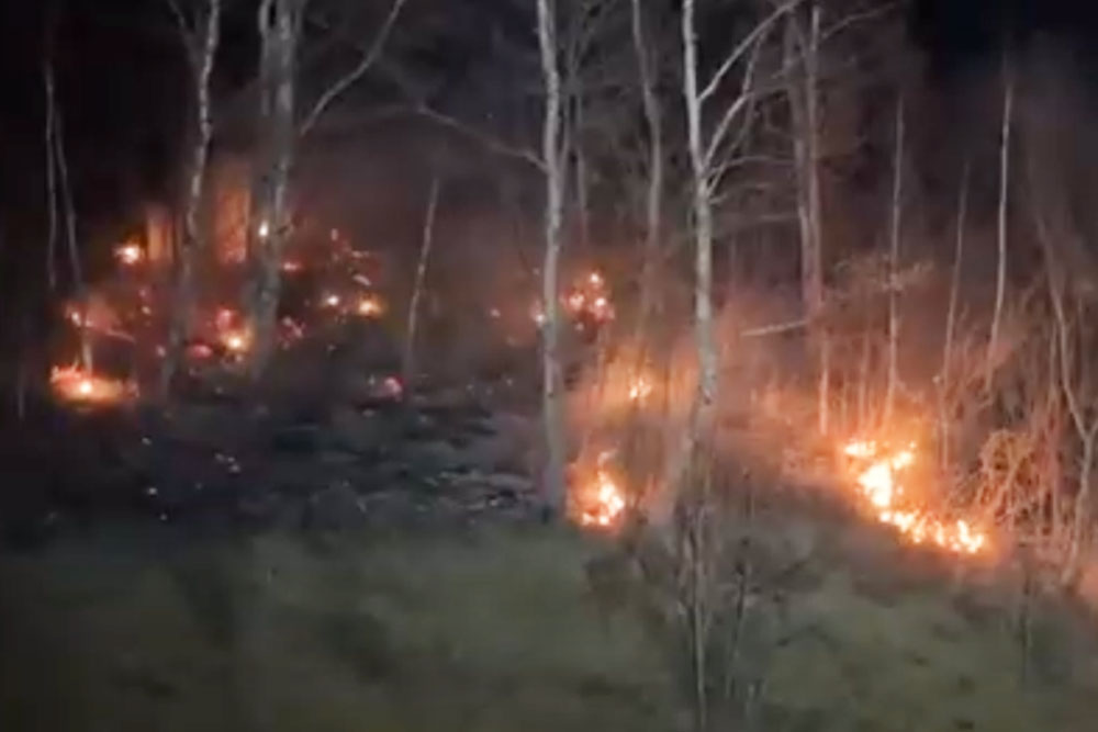 Пожары на юге Приморского края