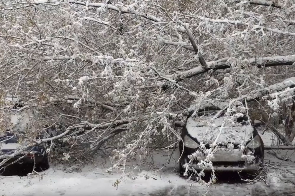 Снегопад в Москве