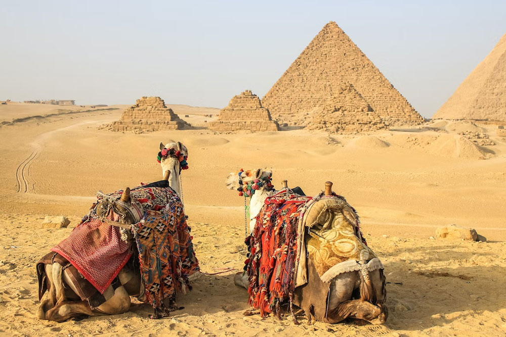 Цены на туры в Египет 
