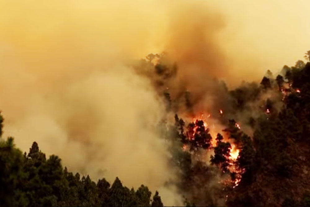 Лесной пожар на Канарах