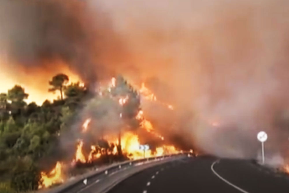 Лазурное побережье Франции — в природных пожарах Пожары на Лазурном побережье
