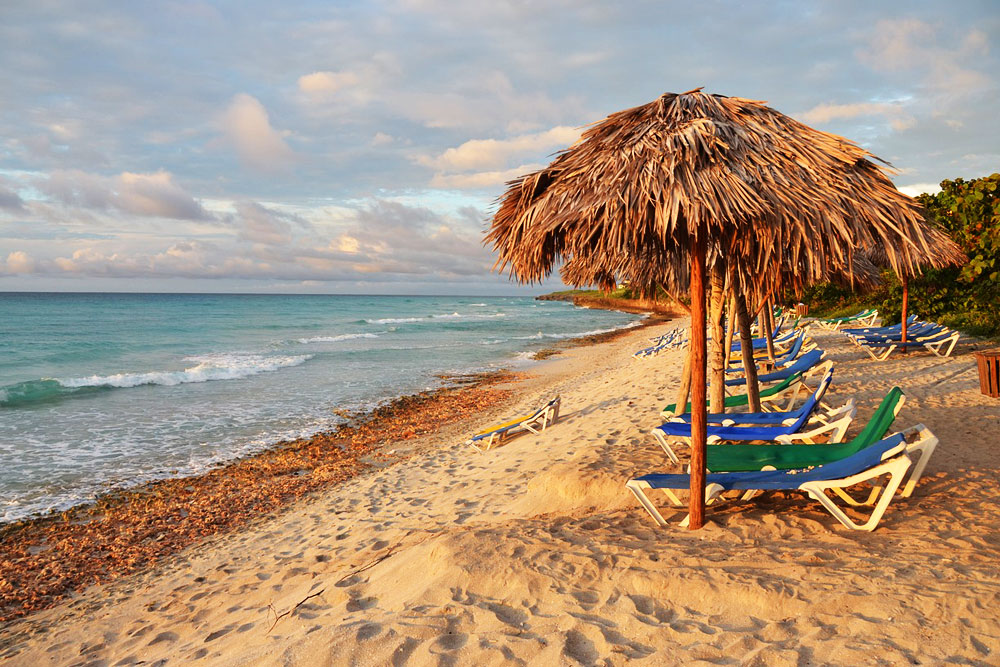 Вы хотите отдохнуть или чтобы вам отрезали руку? Отдых и закон