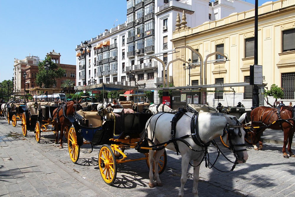 В Испании от жары дохнут лошади