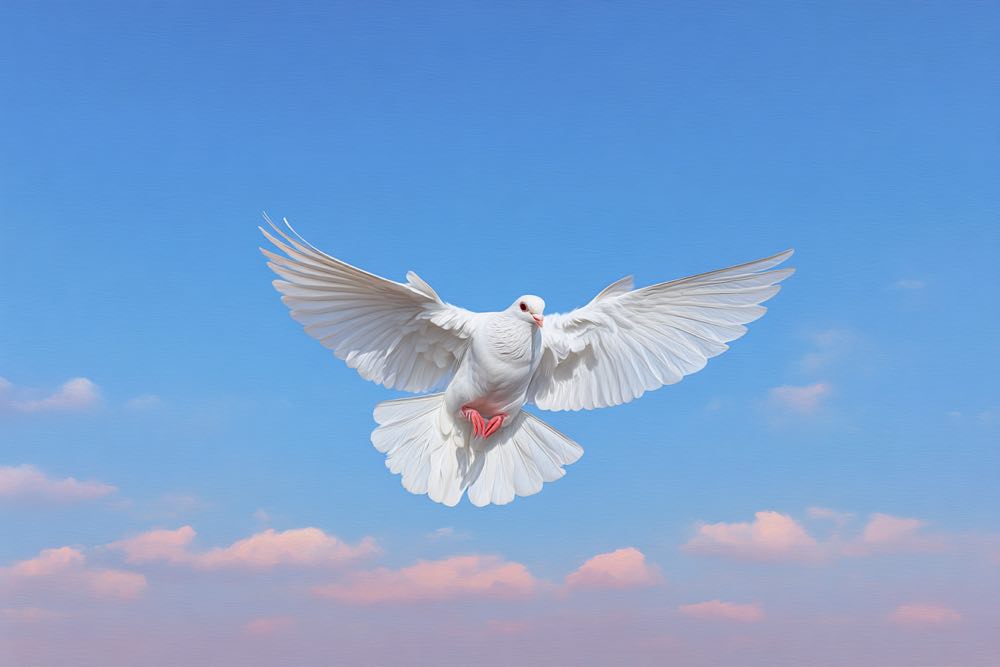 Как правильно подписать конверт, чтобы письмо нашло адресата Как подписать конверт