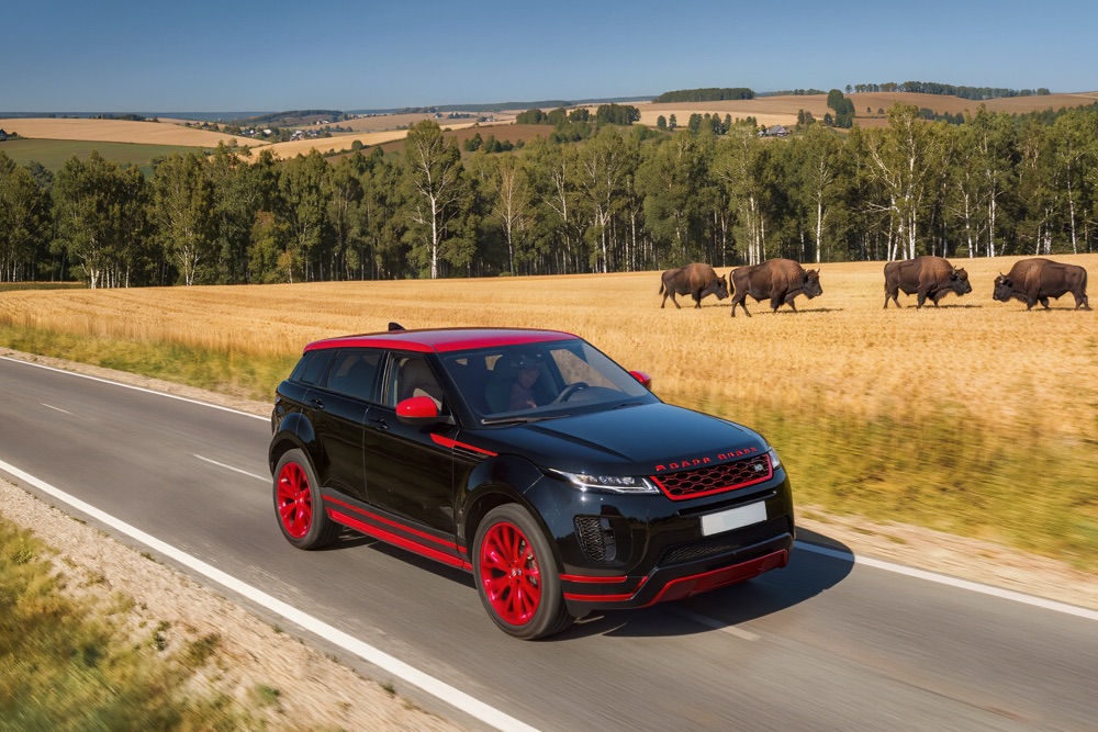 Поездка по замкам