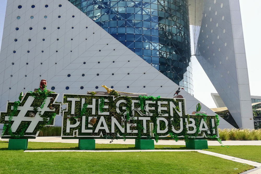 Музей The Green Planet